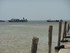 A COMME AIGUILLON SUR MER - VE
