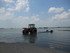 A COMME AIGUILLON SUR MER - VE