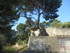LUBERON, D'UN CHÂTEAU À L'AU