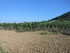 LUBERON, D'UN CHÂTEAU À L'AU