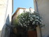 LUBERON, D'UN CHÂTEAU À L'AU