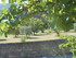 LUBERON, D'UN CHÂTEAU À L'AU
