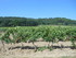 LUBERON, D'UN CHÂTEAU À L'AU