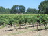 LUBERON, D'UN CHÂTEAU À L'AU