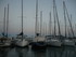 P COMME PORT DE BOUC (4) - BOU