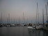 P COMME PORT DE BOUC (4) - BOU