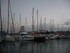 P COMME PORT DE BOUC (4) - BOU