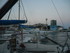 P COMME PORT DE BOUC (4) - BOU
