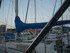 P COMME PORT DE BOUC (4) - BOU