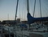 P COMME PORT DE BOUC (4) - BOU