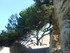 M COMME MIRAMAS LE VIEUX - BOU