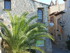 M COMME MIRAMAS LE VIEUX (2) -