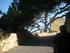M COMME MIRAMAS LE VIEUX (2) -