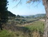 M COMME MIRAMAS LE VIEUX (3) -