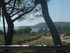 M COMME MIRAMAS LE VIEUX (3) -