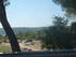 M COMME MIRAMAS LE VIEUX (3) -