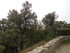 M COMME MONIEUX - VAUCLUSE - F