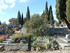 L COMME LOURMARIN - VAUCLUSE -