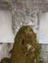 L COMME LOURMARIN - VAUCLUSE -