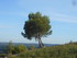 UNE HISTOIRE PROVENÇALE