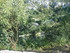 B COMME LES BAUX DE PROVENCE -