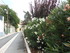 O COMME ORGON - BOUCHES DU RH�