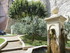 O COMME ORGON - BOUCHES DU RH�