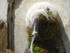 O COMME ORGON - BOUCHES DU RH�