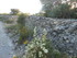 CAP SUR LES MOURRES