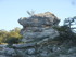 CAP SUR LES MOURRES