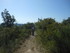 CAP SUR LES MOURRES