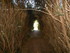 A COMME AUBAZINE - CORRÈZE - 