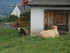 A COMME AUBAZINE (3) - CORRÈZ