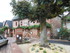 C COMME COLLONGES LA ROUGE - C