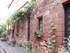 C COMME COLLONGES LA ROUGE - C