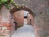 C COMME COLLONGES LA ROUGE - C