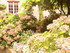 C COMME COLLONGES LA ROUGE - C
