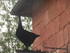 C COMME COLLONGES LA ROUGE (2)