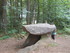 C COMME CROMLECH DU PUY DE PAU