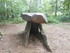C COMME CROMLECH DU PUY DE PAU