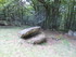 C COMME CROMLECH DU PUY DE PAU