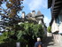 A COMME ARGENTAT SUR DORDOGNE 