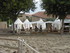 LES MEDIEVALES DE CHATEAUNEUF 