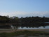 L COMME LAC DE CARCES - VAR - 