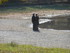 L COMME LAC DE CARCES - VAR - 