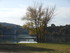 L COMME LAC DE CARCES - VAR - 