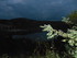 L COMME LAC DE CARCES - VAR - 