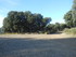 EN ALLANT AU BOIS...