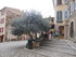 M COMME MOUSTIERS SAINTE MARIE
