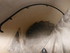 C COMME CLERMONT FERRAND (3) -